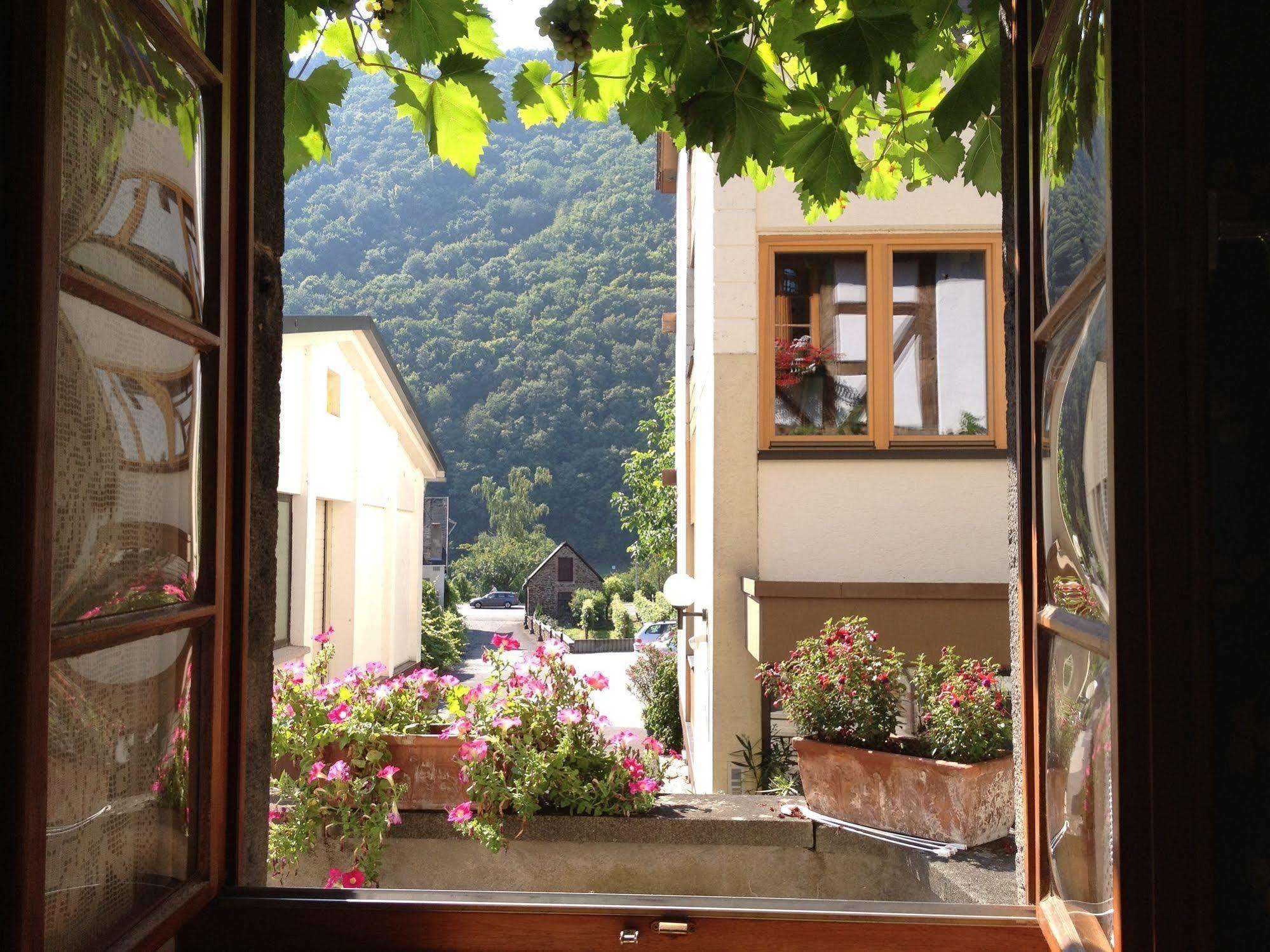 Hotel Weingut Dehren Ellenz-Poltersdorf Exterior foto
